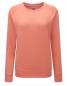 Preview: Ladies´ HD Raglan Sweat, inkl. Druck
