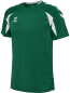 Preview: DJK Waldbüttelbrunn HMLCORE 2.0 XK POLY JERSEY S/S Kids, inkl. Wappen