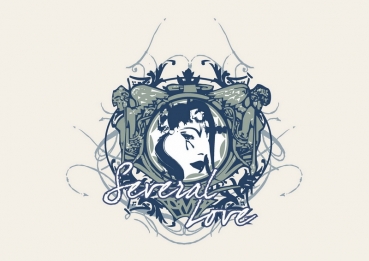 Ladies´ HD Raglan Sweat, inkl. Druck