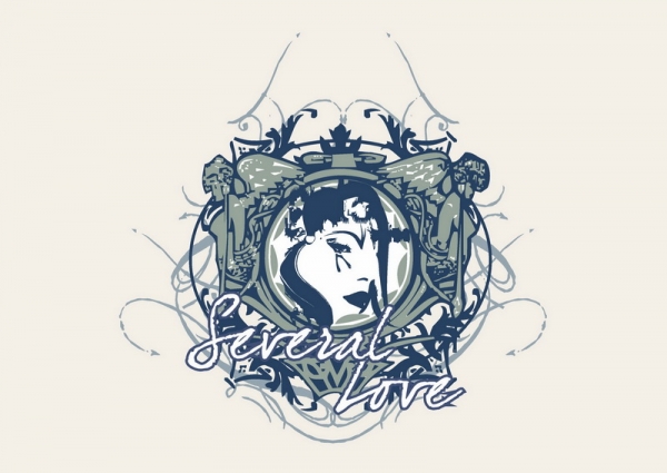 Ladies´ HD Raglan Sweat, inkl. Druck